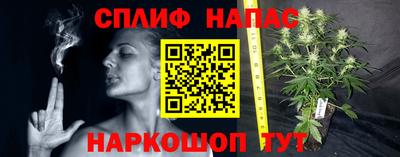таблы Сланцы