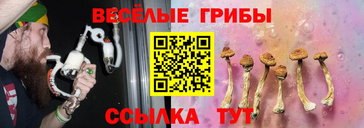 Галлюциногенные грибы Psilocybine cubensis  Псилоцибиновые грибы ЛСД  Батайск  Вход с VPN 